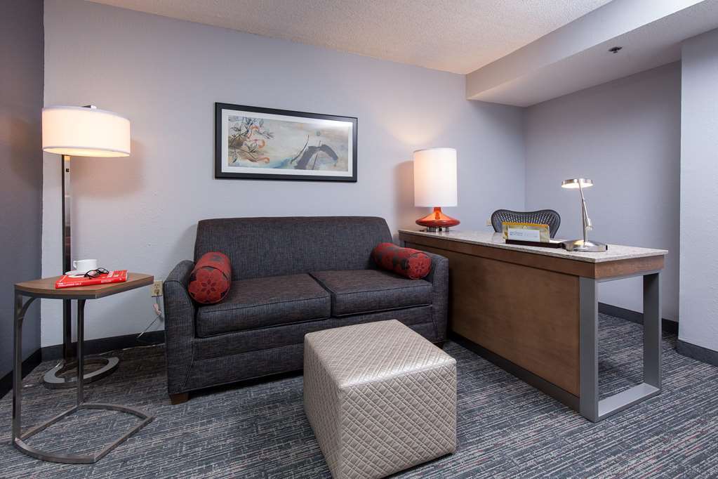 Hilton Garden Inn Atlanta North/Johns Creek Chambre photo