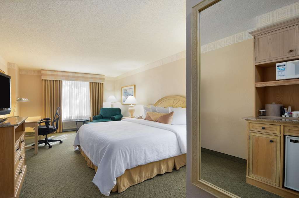Hilton Garden Inn Atlanta North/Johns Creek Chambre photo